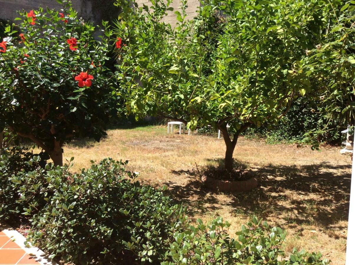 Villa Serena مسينا المظهر الخارجي الصورة